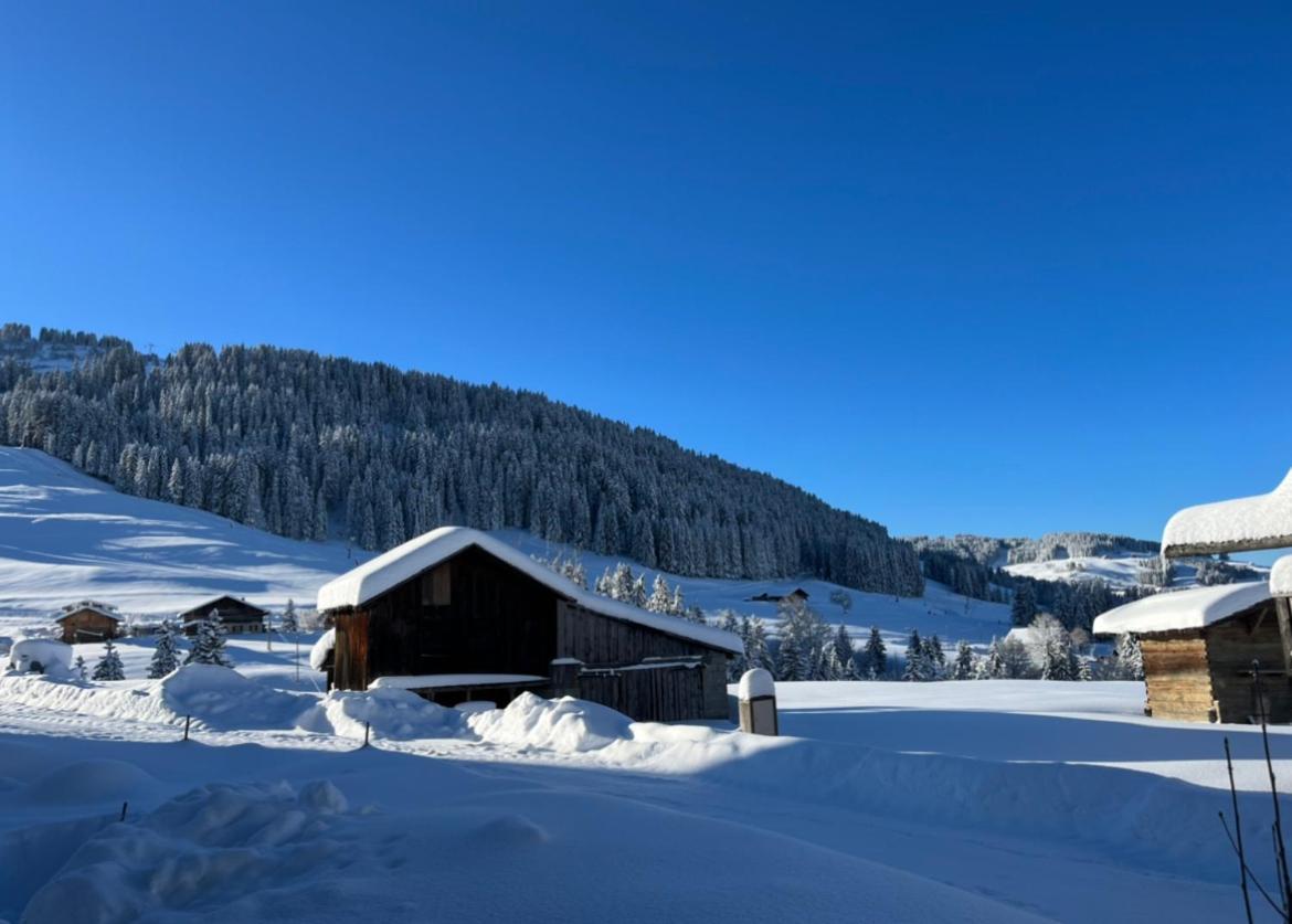 Le Chalet Du Cret - 8 Pers, Tout Confort Avec Jacuzzi 圣母贝莱克 外观 照片